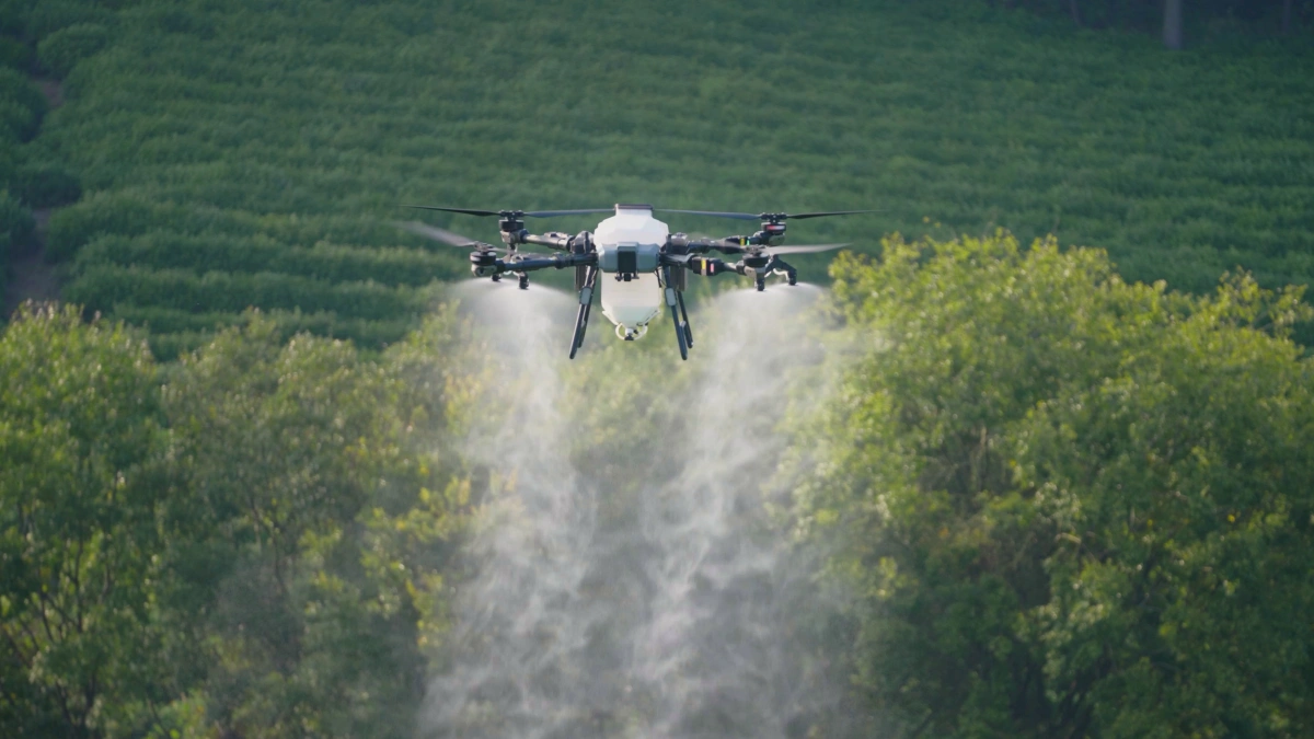 Agricultural drone spraying pesticides on crops in a field Agricultural drone spraying pesticides on crops in a field