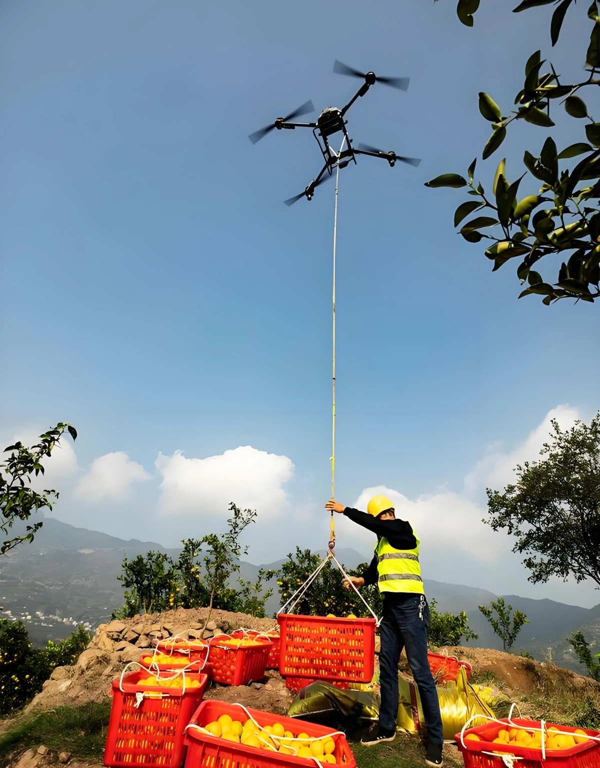 Agricultural drone spraying pesticides on crops in a field Agricultural drone spraying pesticides on crops in a field