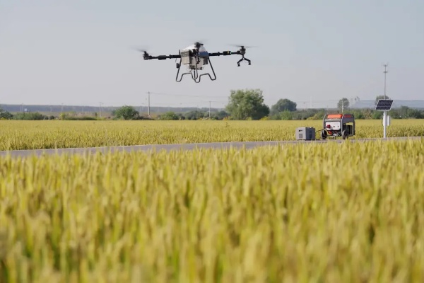 The Transformative Role of Agricultural Drones in Modern Farming