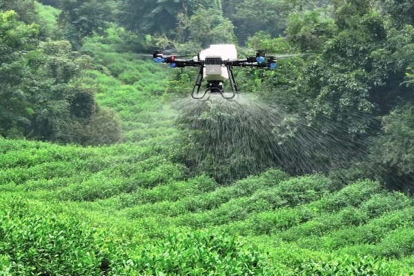 Agricultural Drones: A Game-Changer in Combating Extreme Weather for Food Security