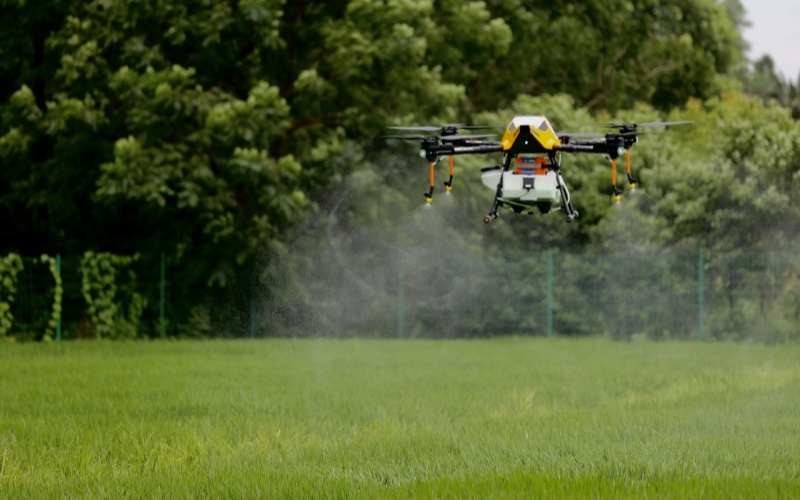Agricultural drone precisely spraying pesticides in farmland to improve crop