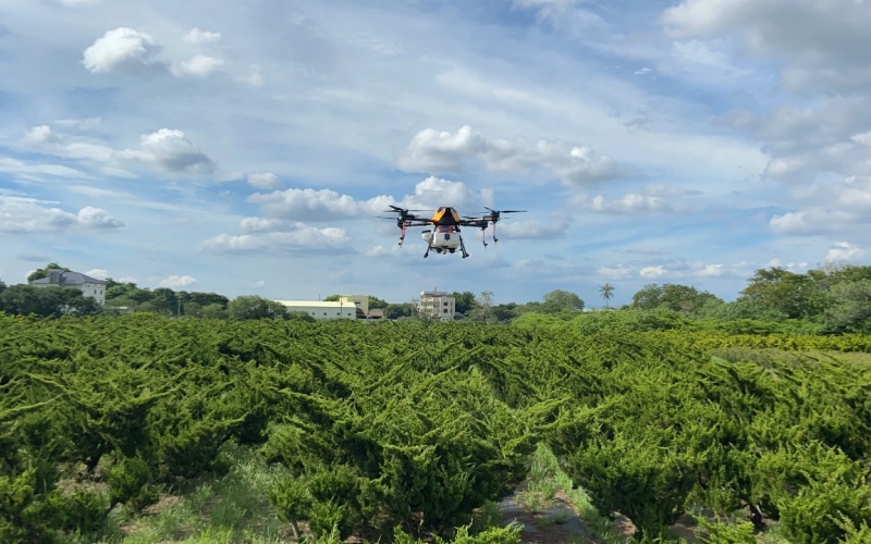 Agricultural drone precisely spraying pesticides in farmland to improve crop