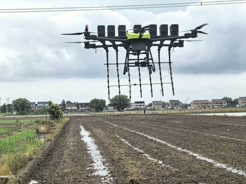Agricultural drone precisely spraying pesticides in farmland to improve crop
