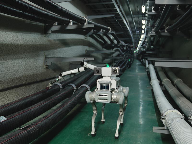 Quadruped robot dog platform for industrial inspection and security patrol Quadruped robot dog platform for industrial inspection and security patrol