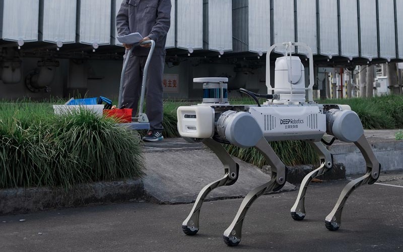 Robot Dog for Industrial Inspection