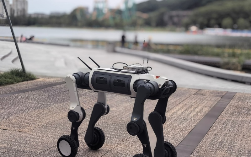 Robot Dog Security Patrol: Costs and ROI